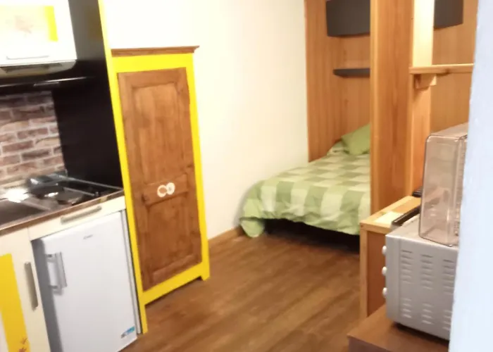 Domy Central Studio